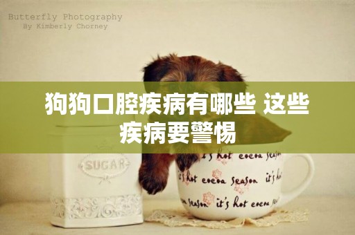 狗狗口腔疾病有哪些 這些疾病要警惕