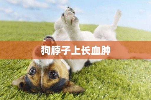 狗脖子上長血腫