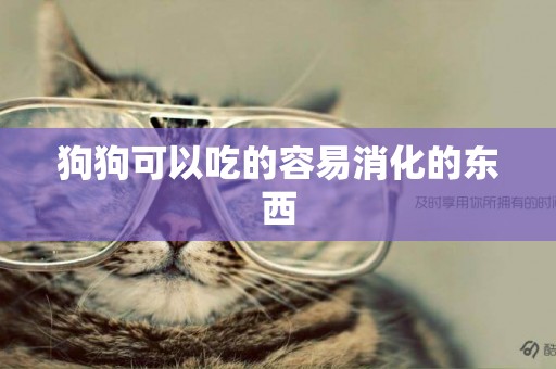 狗狗可以吃的容易消化的東西