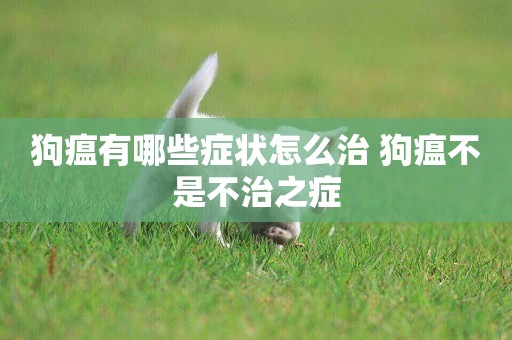 狗瘟有哪些癥狀怎么治 狗瘟不是不治之癥