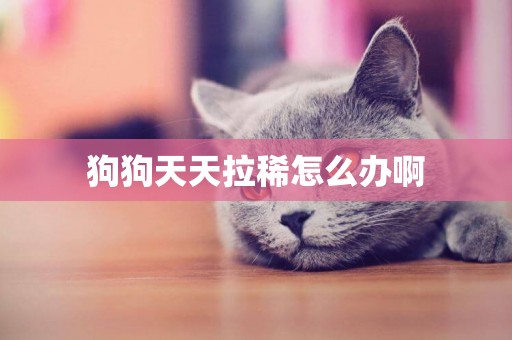 狗狗天天拉稀怎么辦啊