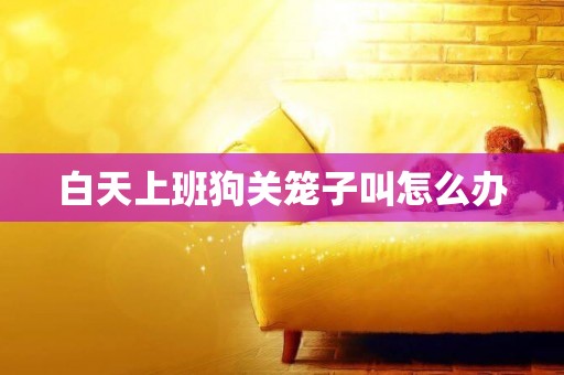 白天上班狗關籠子叫怎么辦