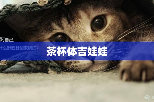 茶杯體吉娃娃