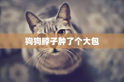 狗狗脖子腫了個大包