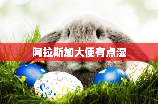 阿拉斯加大便有點濕