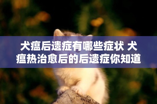 犬瘟后遺癥有哪些癥狀 犬瘟熱治愈后的后遺癥你知道嗎 犬瘟后遺癥有哪些癥狀 犬瘟熱治愈后的后遺癥你知道嗎