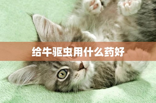 給牛驅蟲用什么藥好