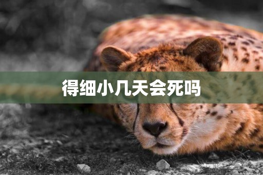 得細小幾天會死嗎