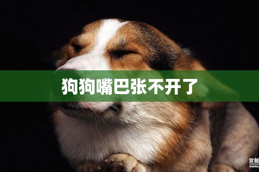 狗狗嘴巴張不開了