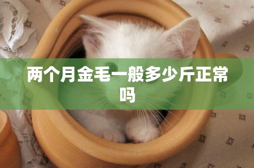 兩個月金毛一般多少斤正常嗎