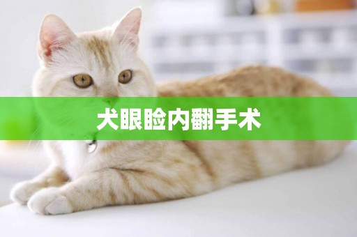 犬眼瞼內翻手術