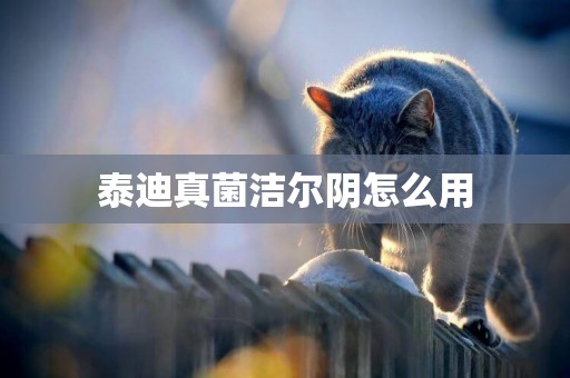 泰迪真菌潔爾陰怎么用