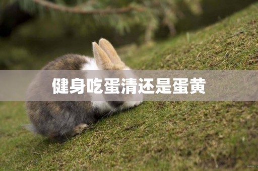健身吃蛋清還是蛋黃