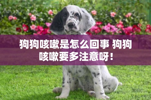 狗狗咳嗽是怎么回事 狗狗咳嗽要多注意呀！