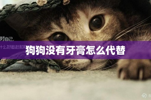 狗狗沒有牙膏怎么代替