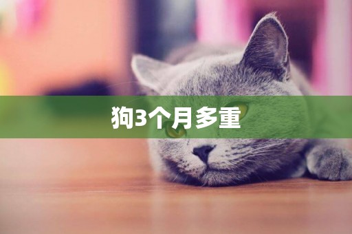 狗3個月多重