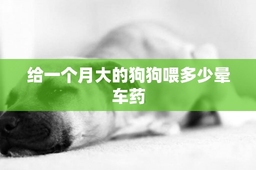 給一個月大的狗狗喂多少暈車藥
