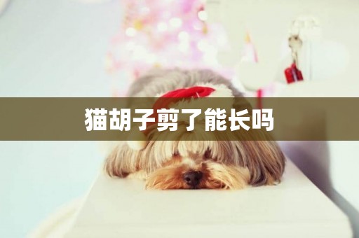 貓胡子剪了能長嗎