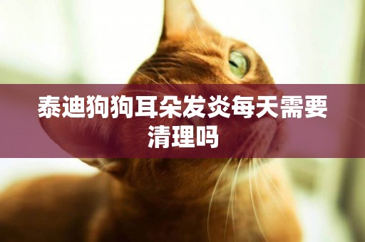 泰迪狗狗耳朵發炎每天需要清理嗎