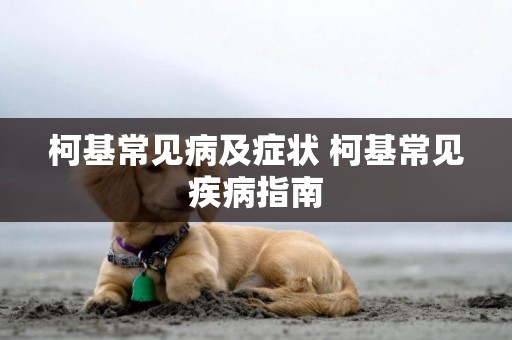柯基常見病及癥狀 柯基常見疾病指南