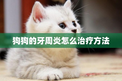 狗狗的牙周炎怎么治療方法