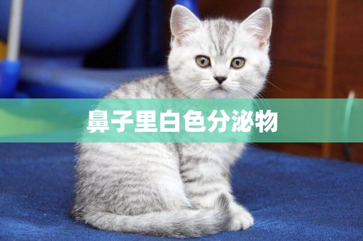 鼻子里白色分泌物