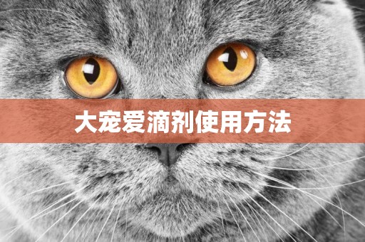 大寵愛滴劑使用方法