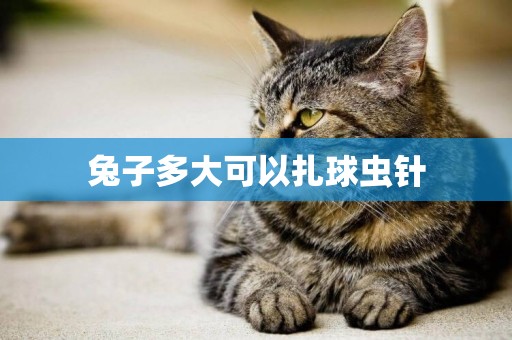 兔子多大可以扎球蟲針