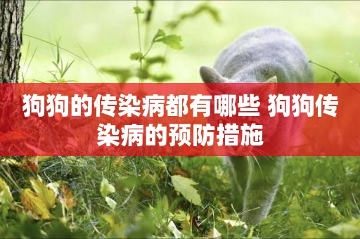 狗狗的傳染病都有哪些 狗狗傳染病的預防措施