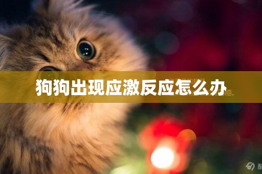 狗狗出現應激反應怎么辦