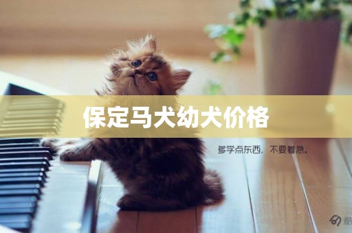 保定馬犬幼犬價格