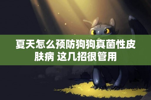 夏天怎么預防狗狗真菌性皮膚病 這幾招很管用