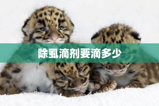 除虱滴劑要滴多少