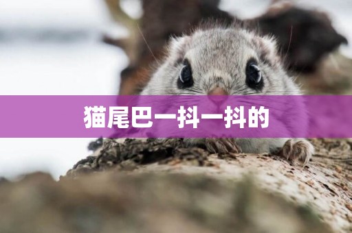 貓尾巴一抖一抖的