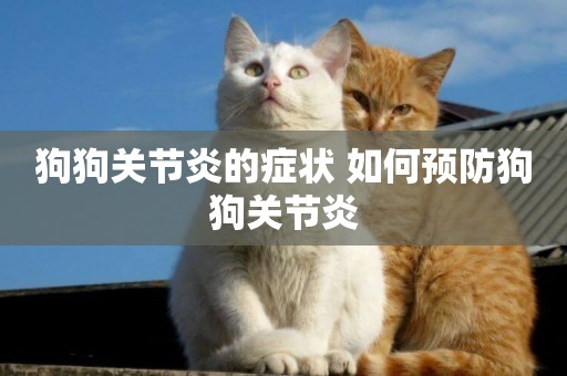 狗狗關節炎的癥狀 如何預防狗狗關節炎 狗狗關節炎的癥狀 如何預防狗狗關節炎