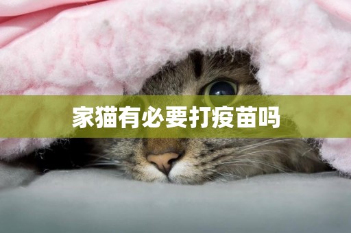 家貓有必要打疫苗嗎