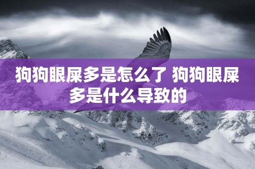 狗狗眼屎多是怎么了 狗狗眼屎多是什么導致的