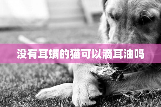 沒有耳螨的貓可以滴耳油嗎
