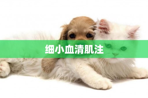 細小血清肌注