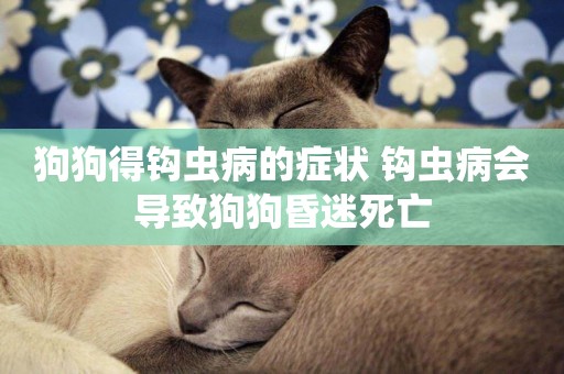 狗狗得鉤蟲病的癥狀 鉤蟲病會導致狗狗昏迷死亡 狗狗得鉤蟲病的癥狀 鉤蟲病會導致狗狗昏迷死亡
