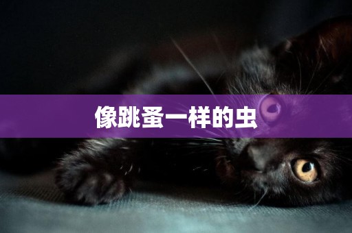 像跳蚤一樣的蟲