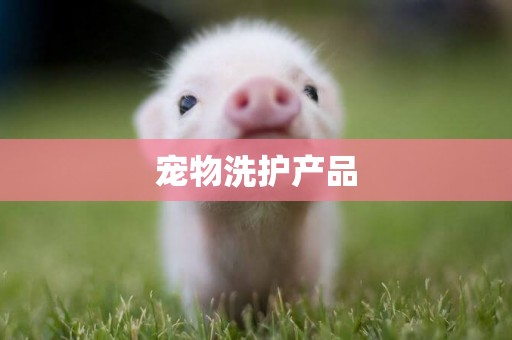 寵物洗護產品