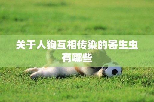 關于人狗互相傳染的寄生蟲有哪些