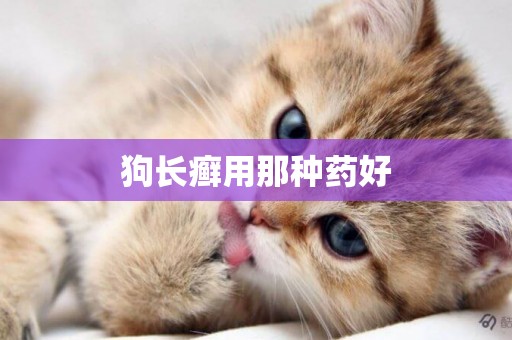 狗長癬用那種藥好
