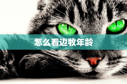 怎么看邊牧年齡