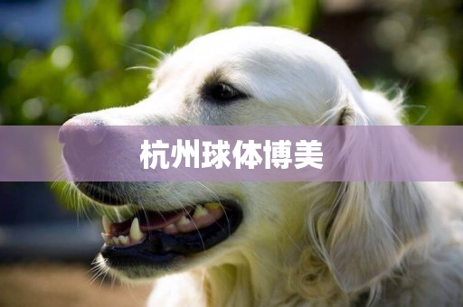 杭州球體博美