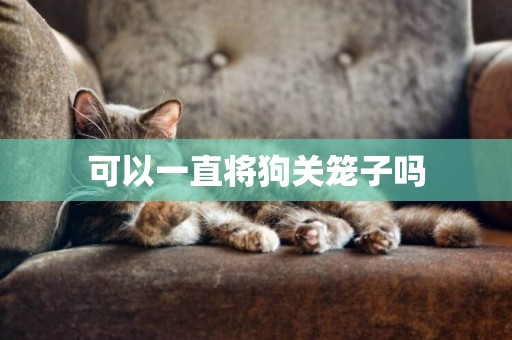可以一直將狗關籠子嗎