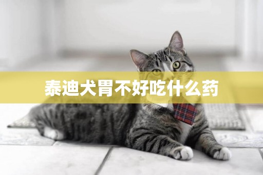 泰迪犬胃不好吃什么藥