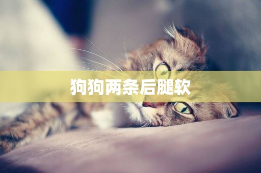 狗狗兩條后腿軟