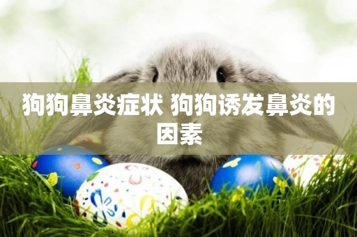 狗狗鼻炎癥狀 狗狗誘發鼻炎的因素